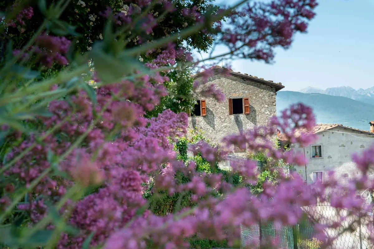 Case in pietra di Sillico tra i fiori, con le Apuane sullo sfondo