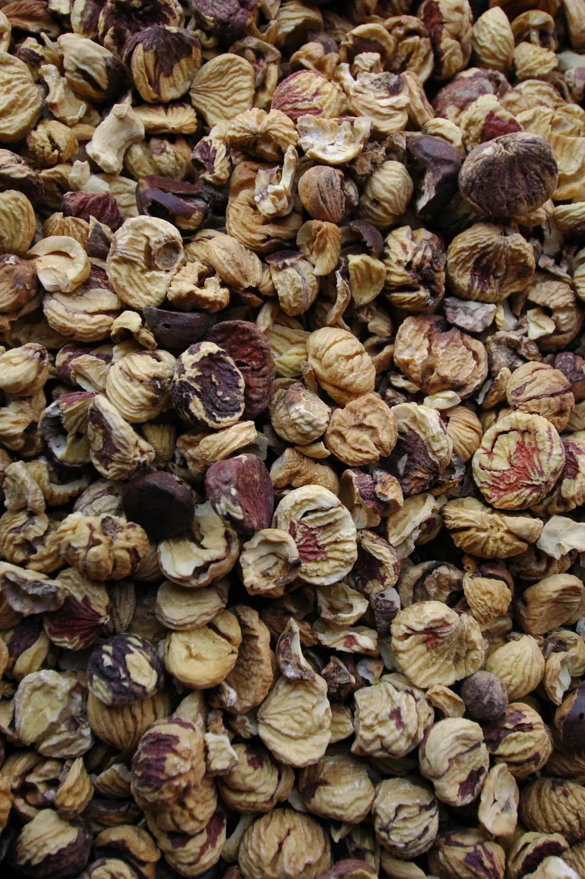 Castagne essiccate nel metato